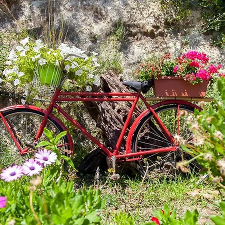 Kallisto 别墅 奈德里